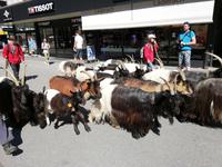 Zermatt &ndash; &copy; Gisela Gerlach (Eberhardt TRAVEL)