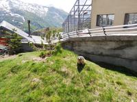 Grimselpass &ndash; &copy; Gisela Gerlach (Eberhardt TRAVEL)