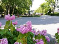 Luzern &ndash; &copy; Gisela Gerlach (Eberhardt TRAVEL)
