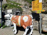 Schynige Platte &ndash; &copy; Martina Pötschke (Eberhardt TRAVEL)