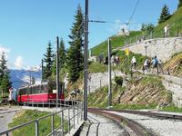Schynige Platte