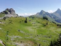 Auf Schynige Platte &ndash; &copy; Martina Pötschke (Eberhardt TRAVEL)