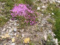 9_Gornergrat (50) &ndash; &copy; Jürgen Müller (Eberhardt TRAVEL)