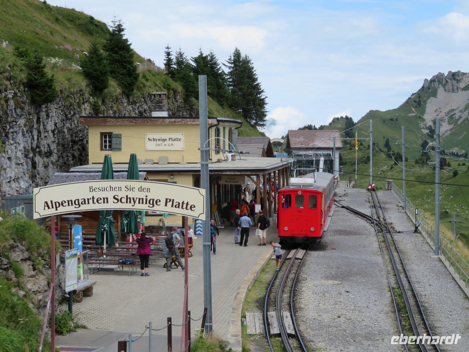 Auf der Schyniggen Platte  &ndash; &copy; Annette Weise (Eberhardt TRAVEL)