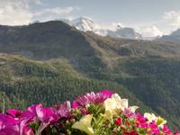 Auf Sunnegga &ndash; &copy; Martina Pötschke (Eberhardt TRAVEL)