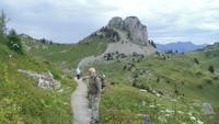 im Alpengarten Schynigge Platte  &ndash; &copy; Sandra Rößle (Eberhardt TRAVEL)
