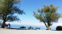 Bodensee &ndash; &copy; Gisela Gerlach (Eberhardt TRAVEL)