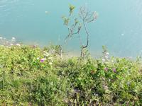 Aare &ndash; &copy; Gisela Gerlach (Eberhardt TRAVEL)