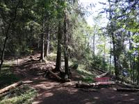 Harder Kulm, unsere Wanderung &ndash; &copy; Gisela Gerlach (Eberhardt TRAVEL)