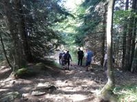 Harder Kulm, unsere Wanderung &ndash; &copy; Gisela Gerlach (Eberhardt TRAVEL)