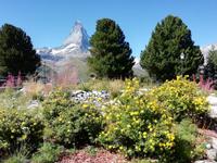 Auf der Riffelalp &ndash; &copy; Martina Pötschke (Eberhardt TRAVEL)