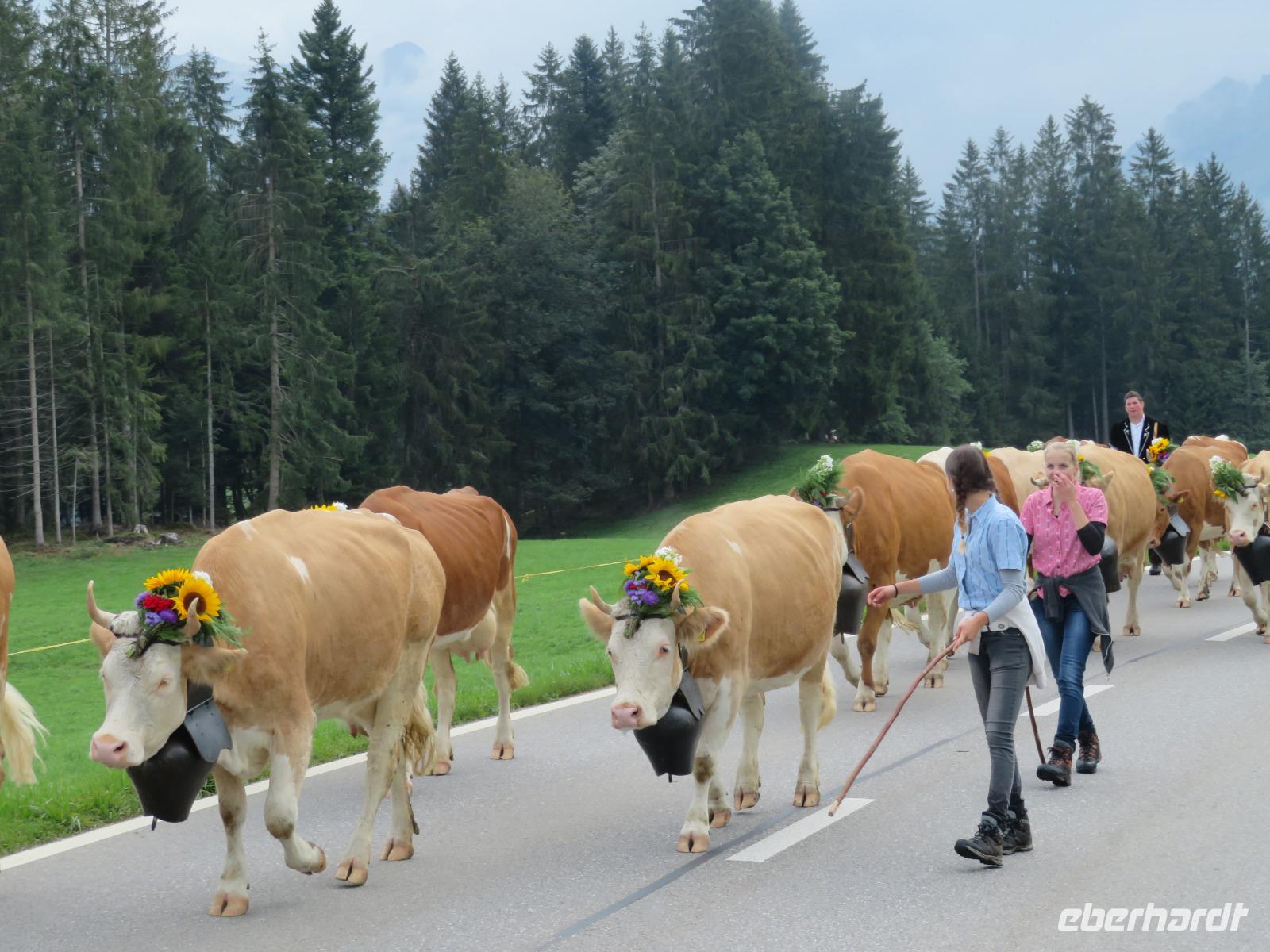 Emmental Almabtrieb &ndash; &copy; Annette Weise (Eberhardt TRAVEL)