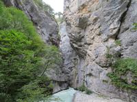 Besuch der Aareschlucht &ndash; &copy; Annette Weise (Eberhardt TRAVEL)