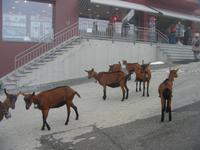 IMG_3722 &ndash; &copy; Gisela Preuß (Eberhardt TRAVEL)
