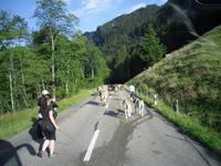 Kühe auf der Strasse... &ndash; &copy; Katrin Deutschbein (Eberhardt TRAVEL)