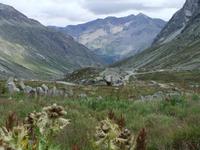 Auf dem Julierpass &ndash; &copy; Martina Pötschke (Eberhardt TRAVEL)