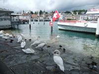 In Luzern &ndash; &copy; Martina Pötschke (Eberhardt TRAVEL)