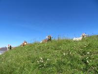 148 auf der Rigi &ndash; &copy; Annette Weise (Eberhardt TRAVEL)