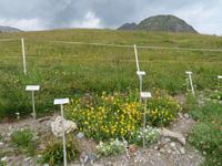 243 auf dem Allmendhubel &ndash; &copy; Annette Weise (Eberhardt TRAVEL)