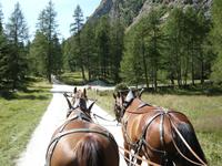 Fahrt mit der Pferdekutsche ins Valda Roseg &ndash; &copy; Heidemarie Nestler (Eberhardt TRAVEL)