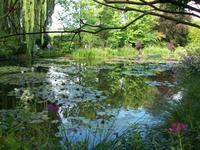 Giverny, Monet- Fondation &ndash; &copy; Steffen Mucke (Eberhardt TRAVEL)