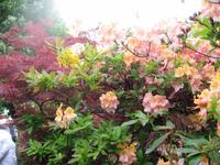 In Giverny &ndash; &copy; Alexandra Jordan (Eberhardt TRAVEL)