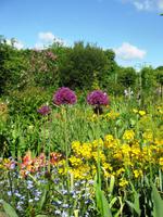 In Giverny &ndash; &copy; Alexandra Jordan (Eberhardt TRAVEL)