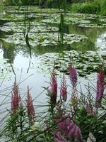 Giverny &ndash; &copy; Alexandra Jordan (Eberhardt TRAVEL)