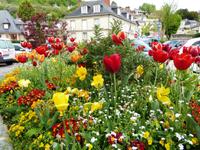 Caudebec-en-Caux &ndash; &copy; Alexandra Jordan (Eberhardt TRAVEL)