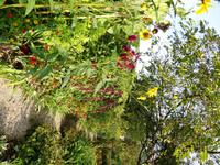 51Giverny4 &ndash; &copy; Alexandra Jordan (Eberhardt TRAVEL)