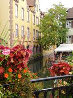Blumenschmuck &ndash; &copy; Alexandra Jordan (Eberhardt TRAVEL)
