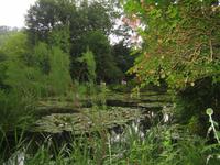 Seerosenteich &ndash; &copy; Volker Jungklaus (Eberhardt TRAVEL)