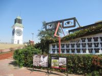 Novi Sad in Serbien &ndash; &copy; Sylvia Sann (Eberhardt TRAVEL)