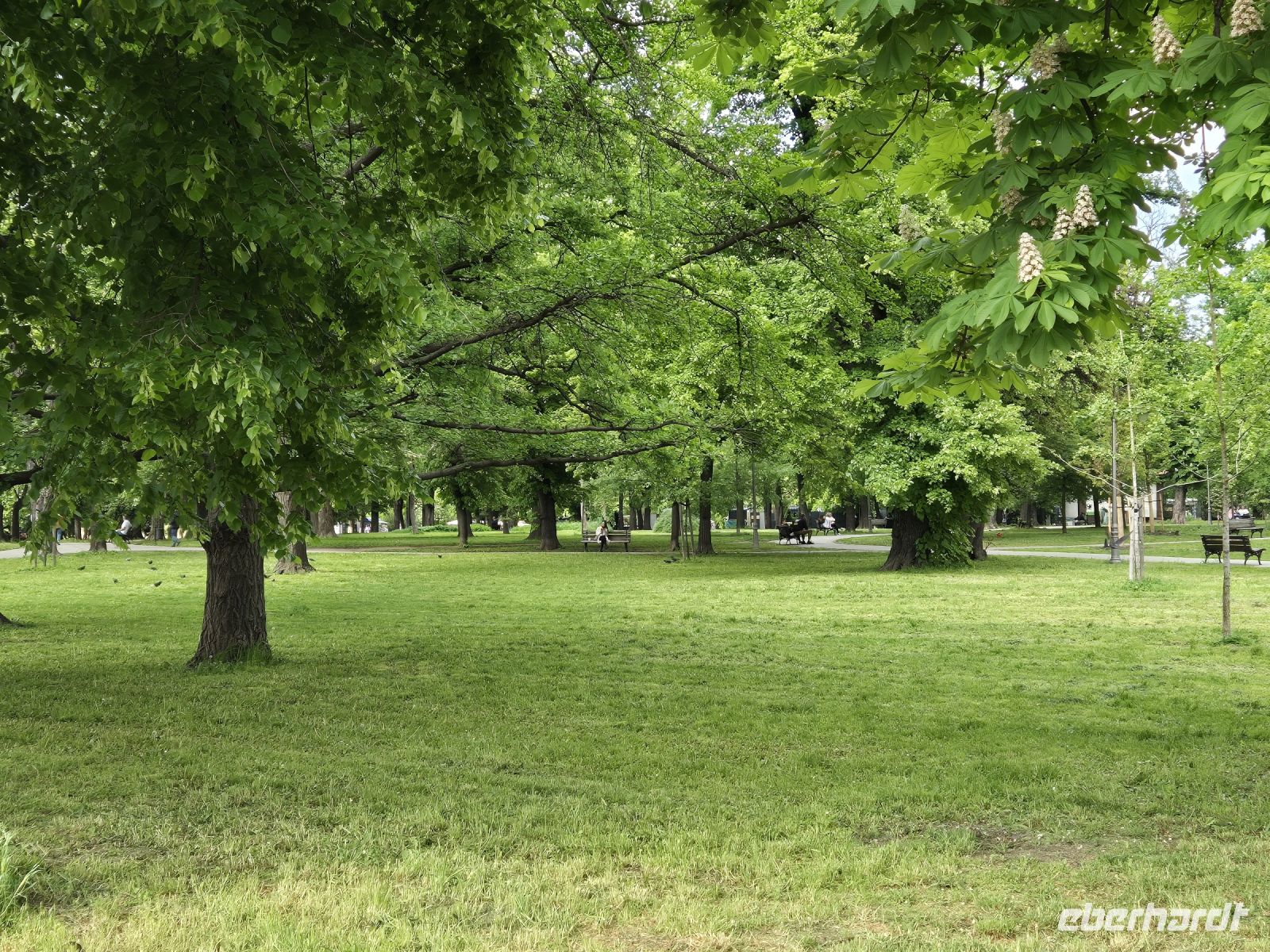 Tag 2 - Belgrad - Eindrücke - Park Festung Kalemegdan (2) &ndash; &copy; Jana Wessendorf (Eberhardt TRAVEL)