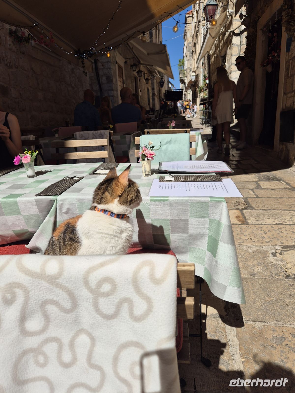 Tag 8 - Dubrovnik - Eindrücke   (16) &ndash; &copy; Jana Wessendorf (Eberhardt TRAVEL)