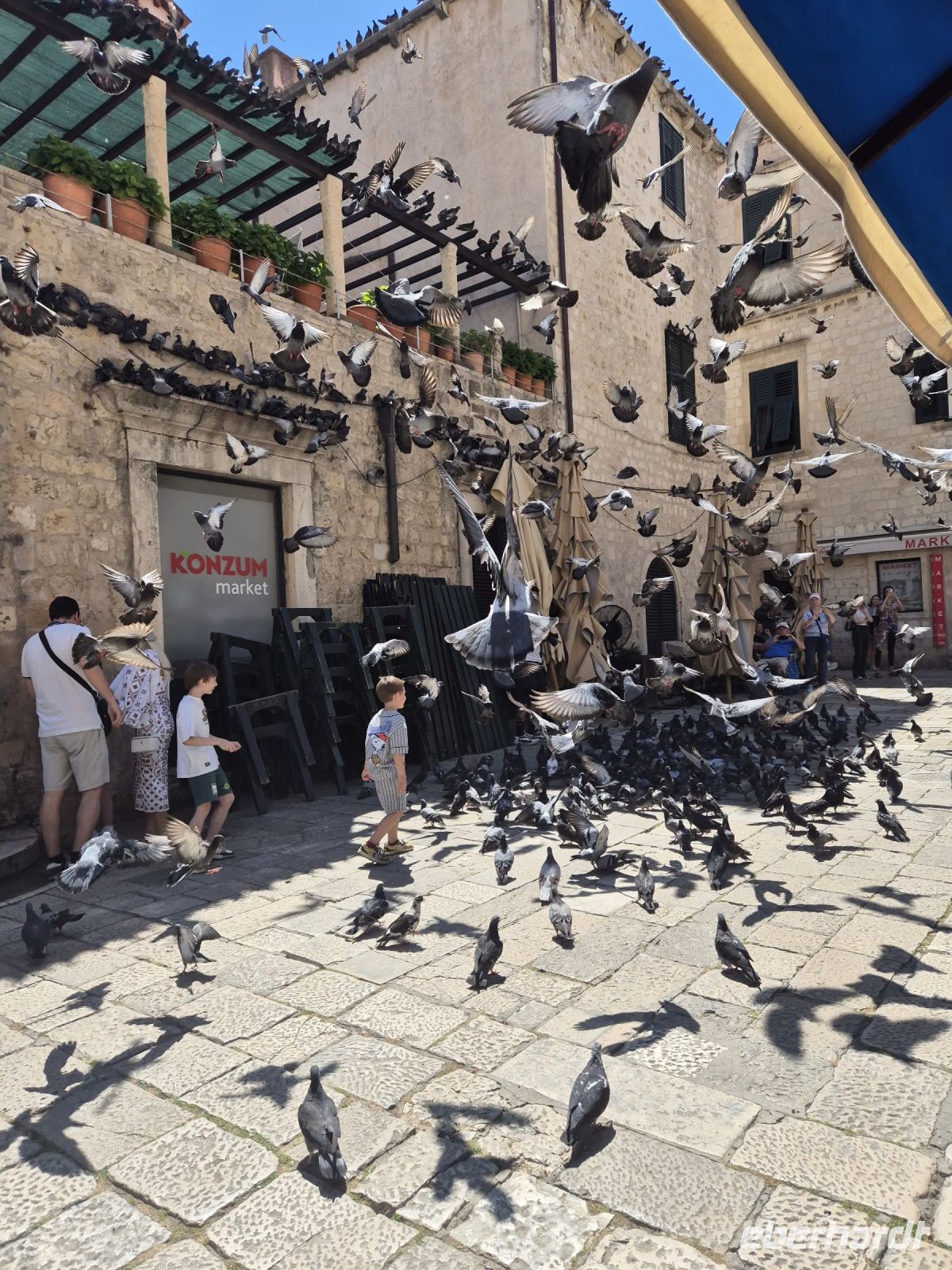 Tag 8 - Dubrovnik - Eindrücke   (24) &ndash; &copy; Jana Wessendorf (Eberhardt TRAVEL)