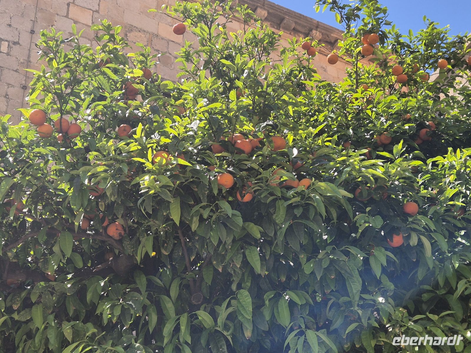 Tag 8 - Dubrovnik - Eindrücke   (28) &ndash; &copy; Jana Wessendorf (Eberhardt TRAVEL)
