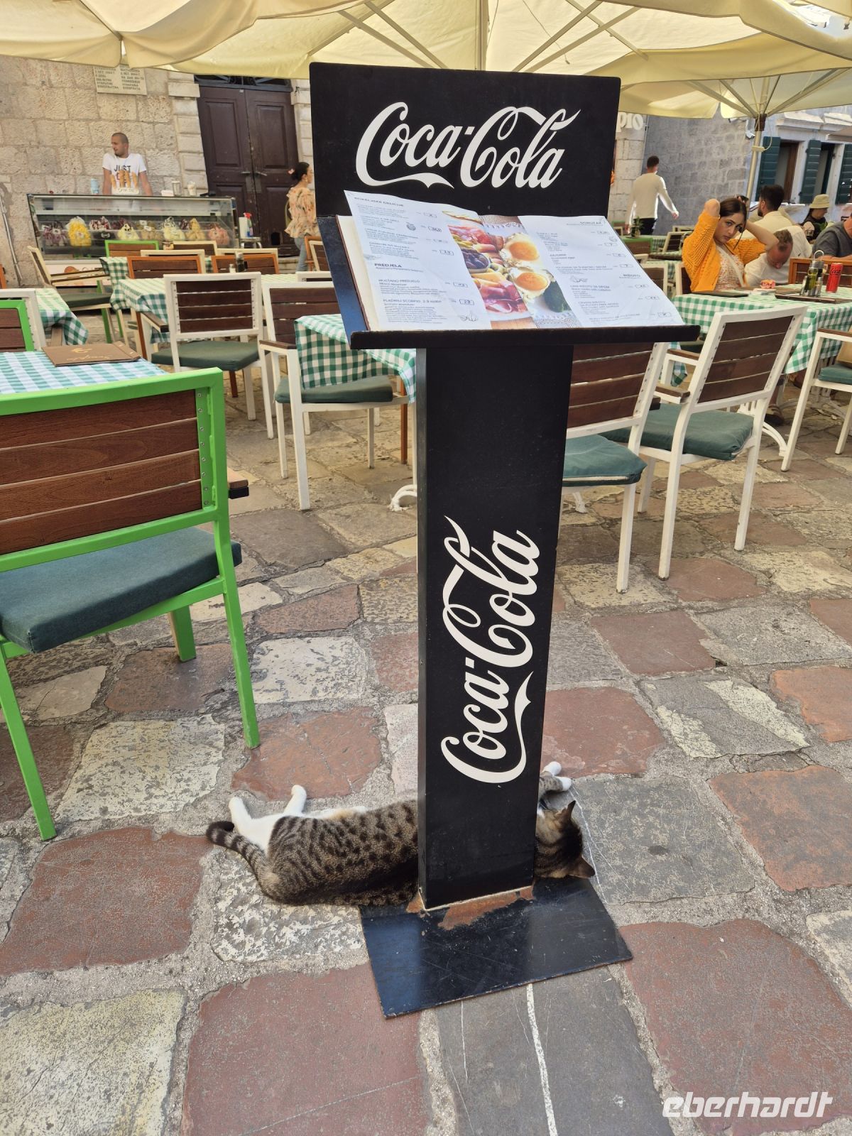 Tag 8 - Stadtbesichtigung - Kotor - Stadt der Katzen (4) &ndash; &copy; Jana Wessendorf (Eberhardt TRAVEL)