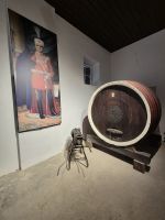 Tag 3 - Topola - Weinverkostung (10) &ndash; &copy; Jana Wessendorf (Eberhardt TRAVEL)