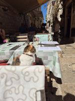 Tag 8 - Dubrovnik - Eindrücke   (16) &ndash; &copy; Jana Wessendorf (Eberhardt TRAVEL)