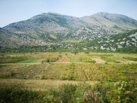 Polje &ndash; &copy; Marta Rass (Eberhardt TRAVEL)