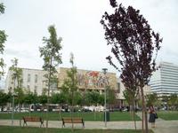 Tirana