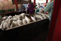 Fischmarkt - Mahe &ndash; &copy; Martin Gruhle (Eberhardt TRAVEL)