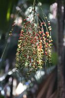 DSC04182.JPG &ndash; &copy; Martin Gruhle (Eberhardt TRAVEL)