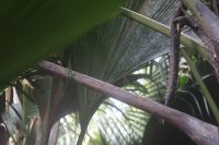 DSC04186.JPG &ndash; &copy; Martin Gruhle (Eberhardt TRAVEL)