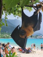 &copy; Petra Hady (Eberhardt TRAVEL)