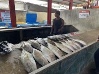 Victoria - Fisch&Gemüsemarkt &ndash; &copy; Jacob Spangenberg (Eberhardt TRAVEL)