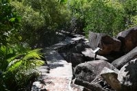Seychellen - Curieuse (13) &ndash; &copy; Franziska Barthel (Eberhardt TRAVEL)