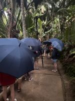 ...im Vallee de Mai (10) &ndash; &copy; Thomas Krupp (Eberhardt TRAVEL)