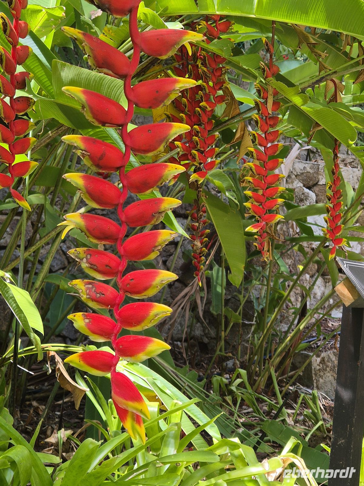 Botanischer Garten &ndash; &copy; Frank Nimschowski (Eberhardt TRAVEL)